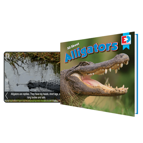 All_about_Alligators All_about_Alligators