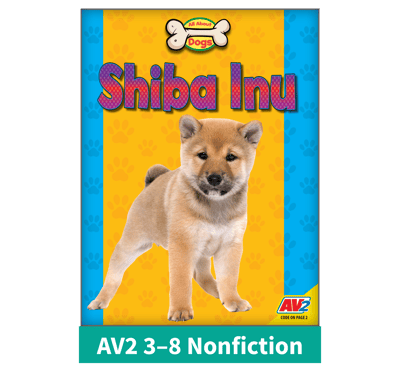 Featured-Shiba Inu